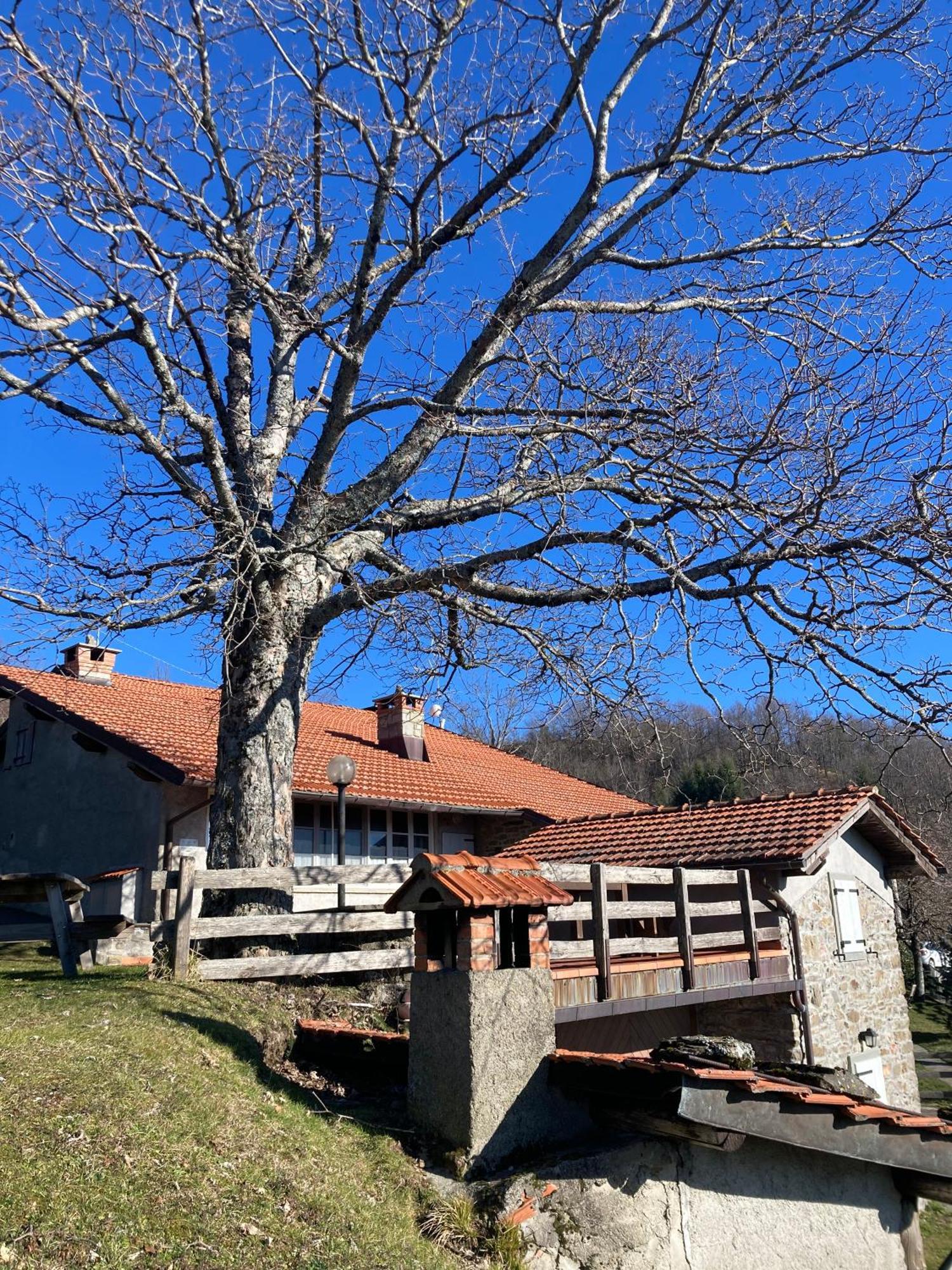 Casa Sperandini Guest House San Marcello Pistoiese Eksteriør bilde